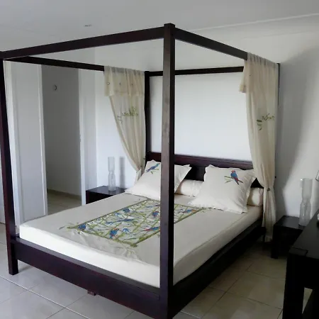 Guest house La Palmeraie Des Calanques